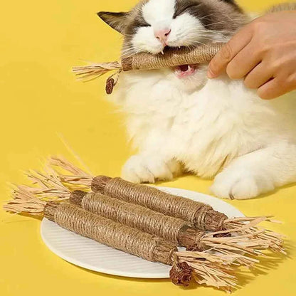 Silvervine Cat Chew Stick – Interactive Dental Toy