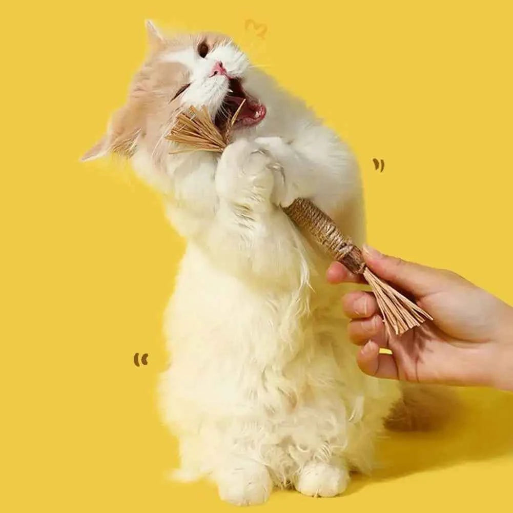 Silvervine Cat Chew Stick – Interactive Dental Toy