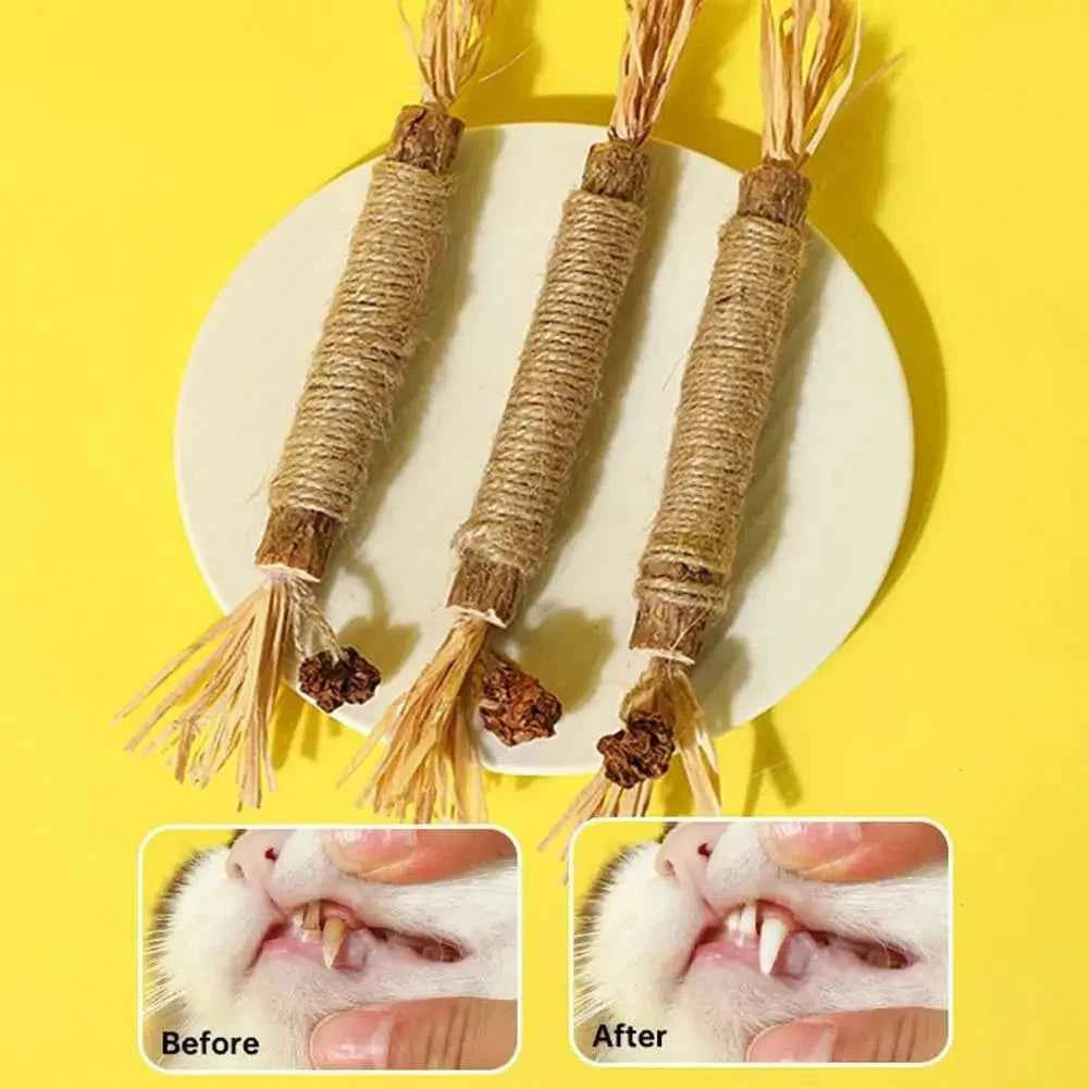 Silvervine Cat Chew Stick – Interactive Dental Toy